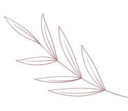 Illustrazione di una foglia